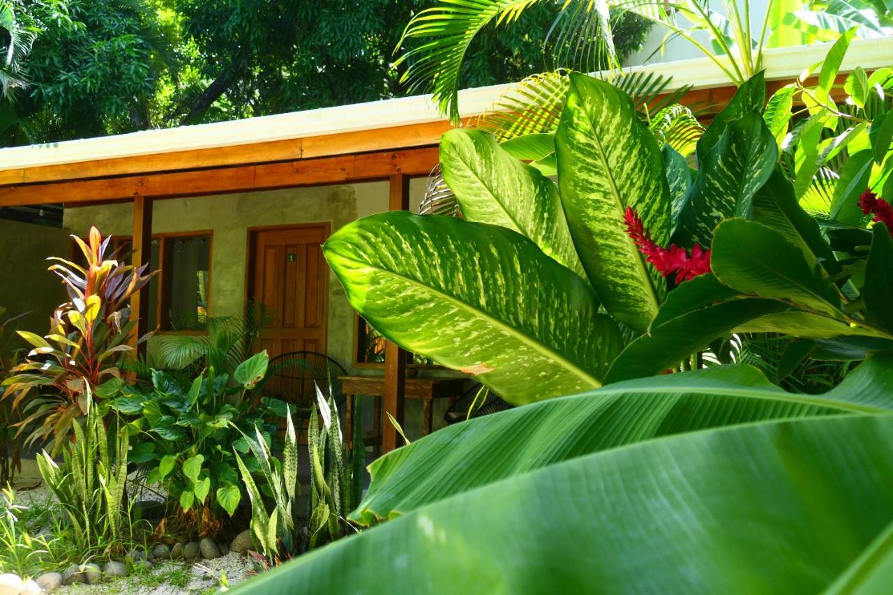 Cabinas Playa Surf Hostel Playa Santa Teresa  Bagian luar foto