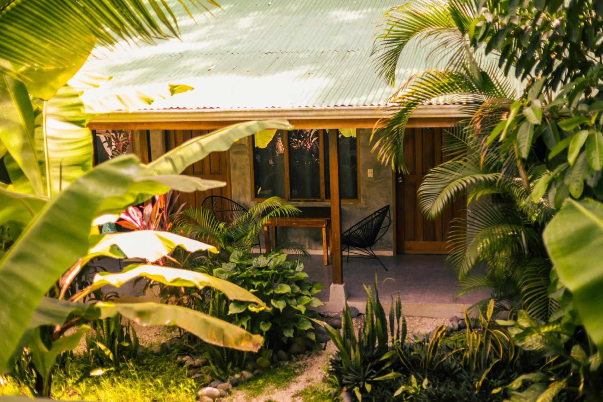 Cabinas Playa Surf Hostel Playa Santa Teresa  Bagian luar foto